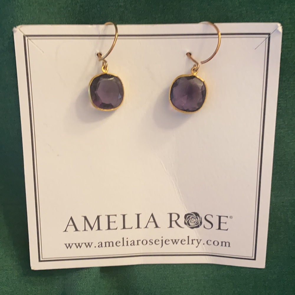 Purple and gold lining earrings